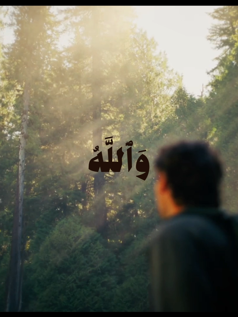 #quran #fyp #viral #قران #قران_كريم #fypシ #علي_جابر