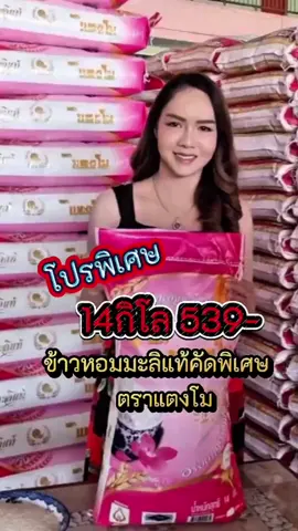 โปรพิเศษข้าวหอมมะลิแท้100%คัดพิเศษตราแตงโม14กิโล539หุงขึ้นหม้อ หอมนุ่มอร่อยมาก#ข้าว #ข้าวสาร #ข้าวหอมมะลิแท้ #ข้าวหอมมะลิแท้คัดพิเศษ #ข้าวสารตราแตงโม #ข้าวหอมะลิแท้14กิโล #ร้านทรัพย์อนันต์ค้าข้าวD #หุงขึ้นหม้อหอมอร่อย #โปร 