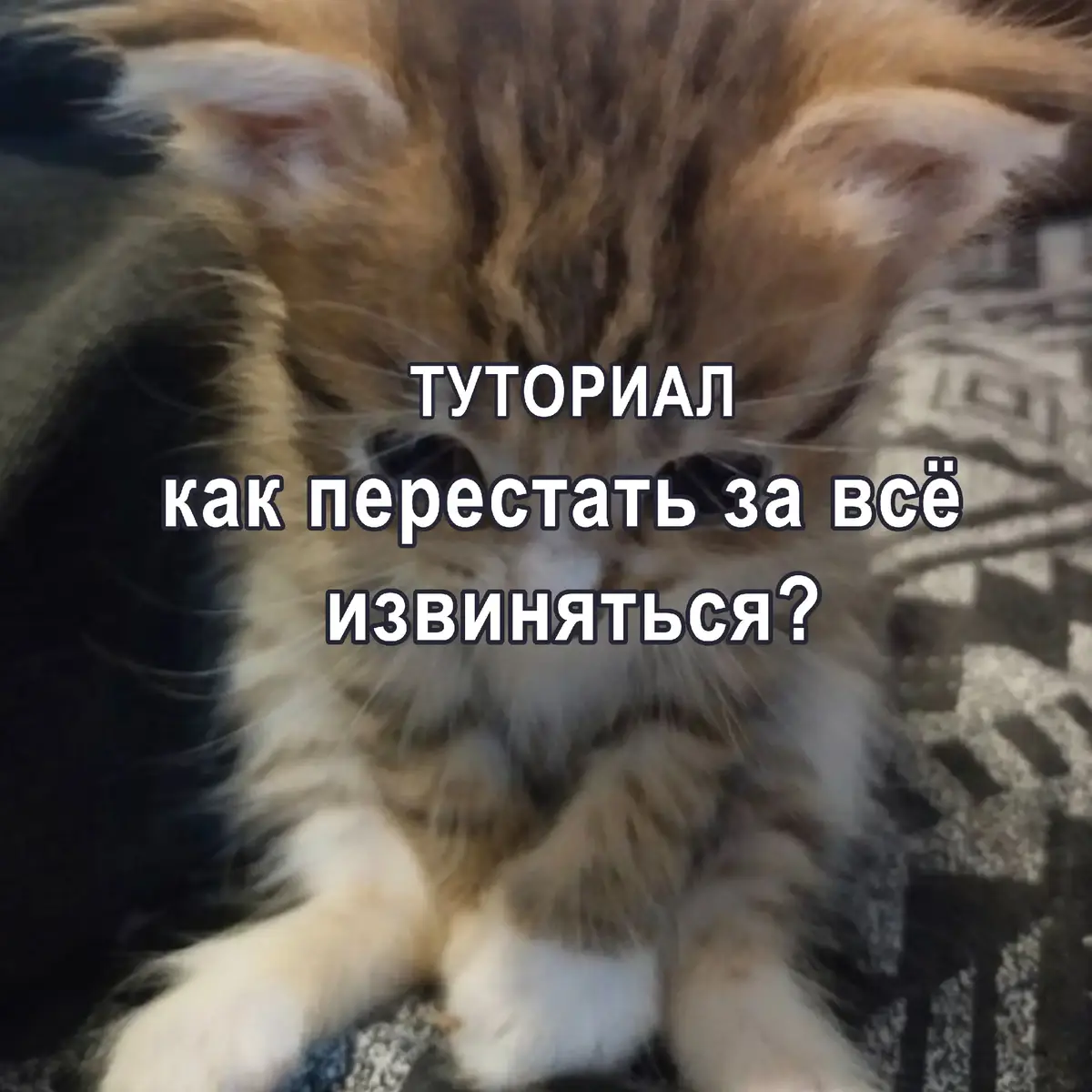 #туториал #психология #какперестатьизвиняться 