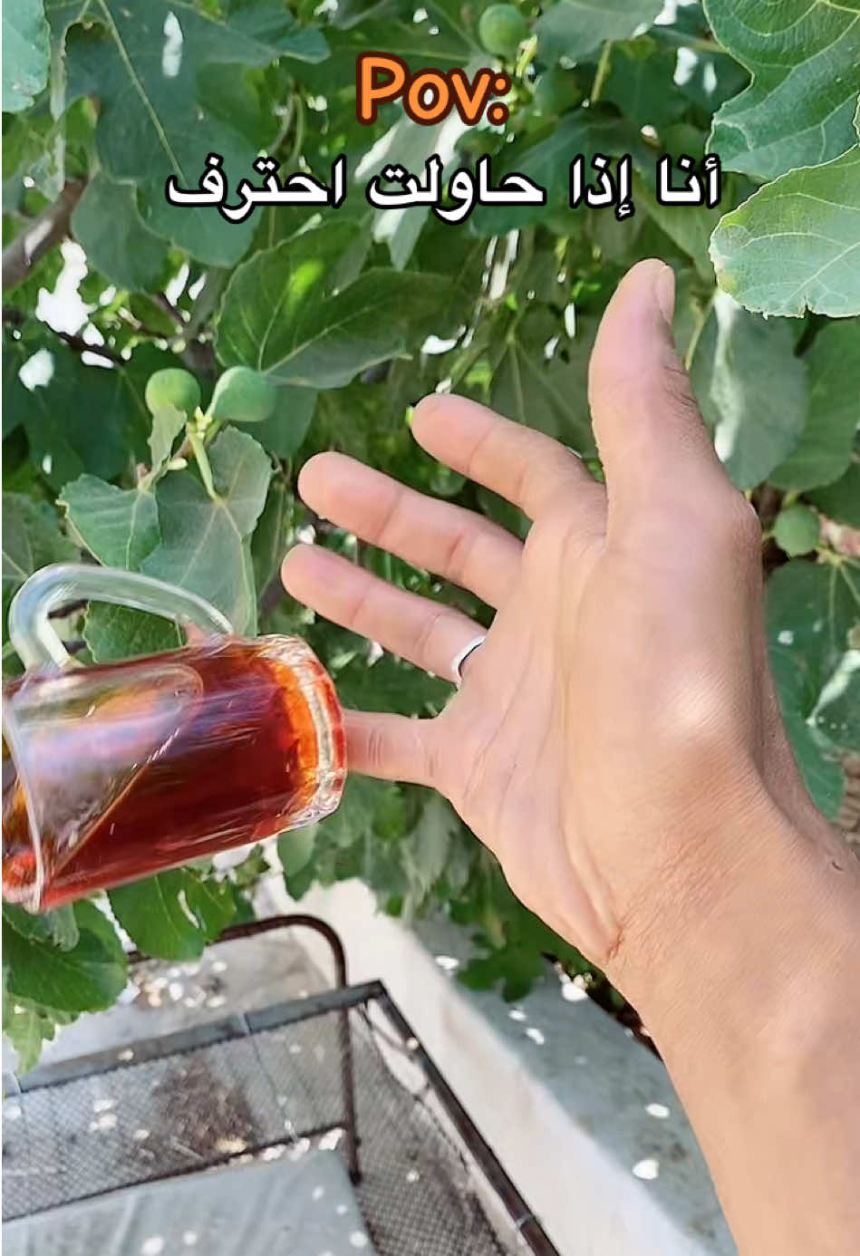 #المنبهي #اكسبور_erolpxe #حظي_باختصار_😂😂🤍 #شاي #احتراف 