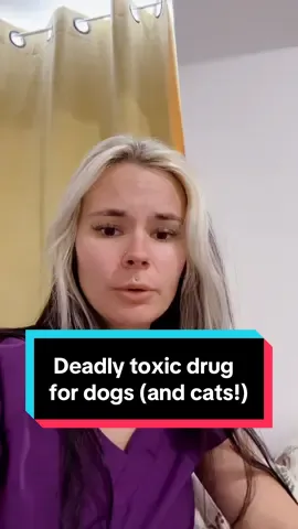 #stitch with @👉🏽Carla - C'arla👈🏽 I know people are well-meaning with advice online, but this kind of advice can lead to the deaths of innocent pets. Please PLEASE always consult your vet for advice regarding pain relief for you pets (all info in this video applies to cats too, only they cannot even have paracetamol as it is toxic to them as well, but not dogs) #naproxen #ibuprofen #petibuprofen #painpainrelief #painkillers #ibuprofentoxicity #nsaids #nonsteroidals #vettok #tiktokvet #vetsoftiktok 