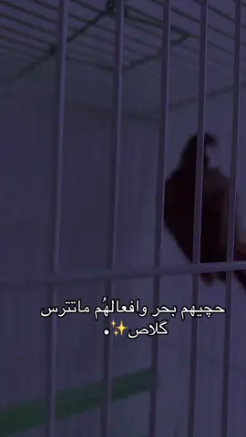 #مالي_خلق_احط_هاشتاقات #الشعب_الصيني_ماله_حل 