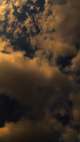 لا أريد أحدا غيرك حتى لو كان هذا الشخص أفضل منك سأختارك 