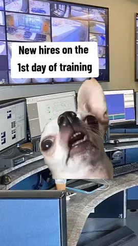 #911 #911whatsyouremergency #fypシ゚viral🖤tiktok #emergency #firstresponders #firstresponders #dispatchersoftiktok #training #xyzbca 