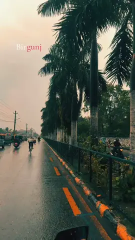 Finding beauty in the raindrops.🌧️   Hamro birgunj#fypシ゚viral #tiktokviraltrending #foryoupage 