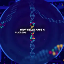 YouTube:@Kurzgesagt - In A Nutshell  #cancer #cells #humanbody #biology #edit #fypシ゚viral #canada🇨🇦 #usa🇺🇸 #fypシ #foryourpage #fyppppppppppppppppppppppp 