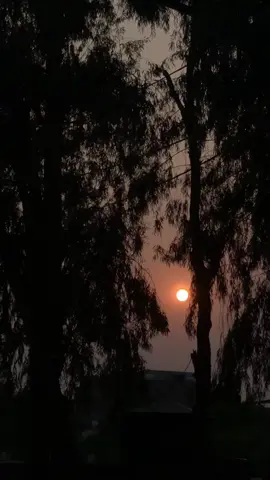 ایک غزل تیرے لیے لکھ رہا ہوں  ہر قصور اس میں لکھ رہا ہوں تیری باتیں۔تیرا لہجہ تیرا خلوص وکردار  مگر سب پہ بھاری تیرا حسن لکھ رہا ہوں عشق و محبت کی کہانیاں تو ڈھیروں سنی ہیں وفا کی بات پہ تجھے وفادار لکھ رہا ہوں زبان سے جو ممکن نہیں تو لکھنے پے اکتفا کیا اپنے جزبوں کو قلم کی تاثیر لکھ رہا ہوں تیری ہر بات ہر ادا سب کچھ سر آنکھوں پر مگر ان سب پہ حاوی اپنا غصہ لکھ رہاں ہوں تیرے بچپن کے کھلونے تو تیرے سے ٹوٹے تھے تیرا وجود مجھ سے ٹوٹا یہ بھی لکھ رہا ہوں جتنی مشکلیں جھیلی ہیں تم نے اس زندگی سے نازک مزاج دل کے شہر خموشاں لکھ رہا ہوں مانا کہ ہزاروں رنجشیں ہونگی تجھے مجھ سے مگر ملنے پر تیرا مجھ کو سینے سے لگانا بھی لکھ رہا ہوں جسے چاہا وہ حاصل تو کرلیا مگر پھر بھی تجھے اپنی زندگی کا بڑا خسارا لکھ رہا ہوں تیرا اور میرا وجود اک سا تو ہے مگر میں خود سے تجھ کو بہت دور لکھ رہا ہوں 🥀❤️‍🩹😭