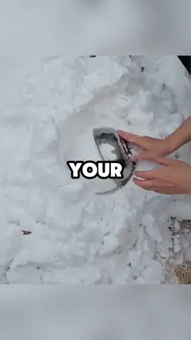 #reddit #redditstories #redditreadings #askreddit #foryou 