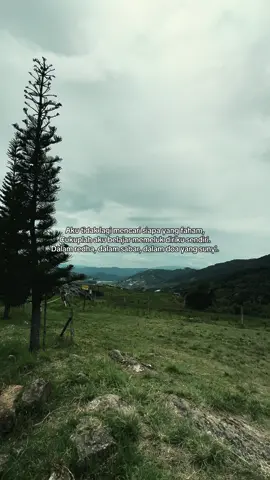 Satu hari nanti, aku akan pulih. Bukan kerana dunia tenang… Tapi kerana aku sudah berdamai. #healing #berdamaidengandirisendiri  #tenang 