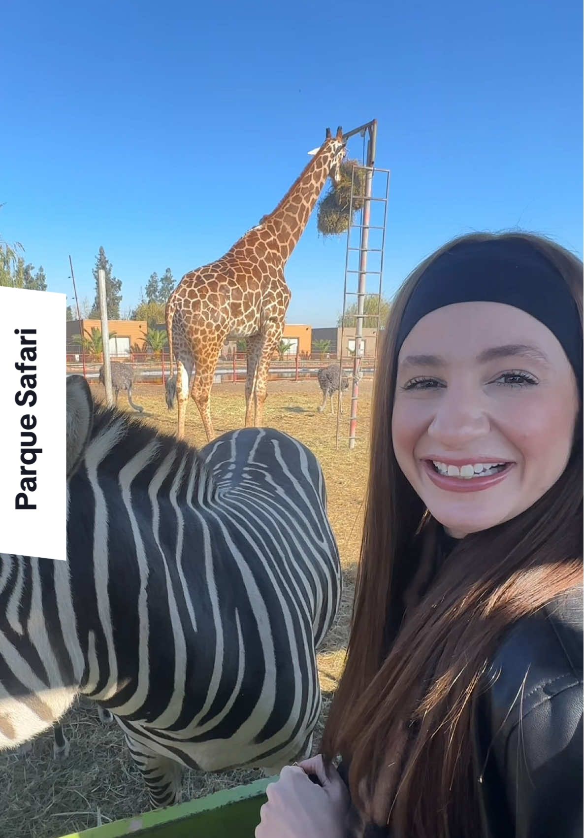 como eu fiz pra fazer o passeio do Parque Safari em Santiago gastando metade do valor que as agências cobram! fomos de transporte público (metro e ônibus) e foi muito tranquilo!  #chile #santiago #parquesafari 