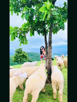 #ကိုယ်တော်သာလျှင်အကျွန်ပ်အလိုအပ်ဆုံး 🙏🏻🎚️#lahugirl #fypシ 
