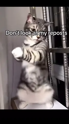 #dontchecklikedvideos 