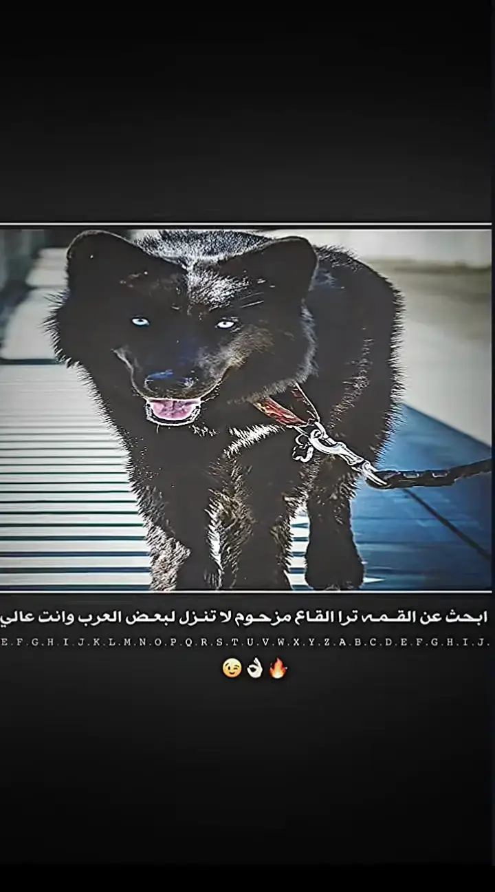 #تصميم_فيديوهات🎶🎤🎬 #عباراتكم_الفخمه📿  #تصميمي 