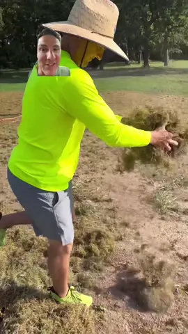 Sprigging 👉🏼 Results #LawnRenovation