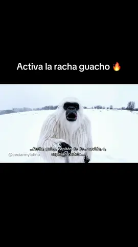 Activa la racha capitán de navío  . . . . . . . #urugodd #ellocoblanco #yeti #ia #paratiiiiiiiiiiiiiiiiiiiiiiiiiiiiiii #veo3 #coker #marpe #xokas #