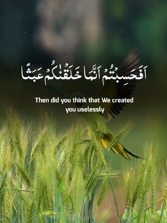 Surah al mominoon.🎧❤️.#quran #tilawat #islamic_video #fyp #foryou #viralvideos #trending #uk #unfreezemyacount #viral @Holy Qur'an 🎧 
