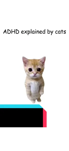 Kitty explain ADHD