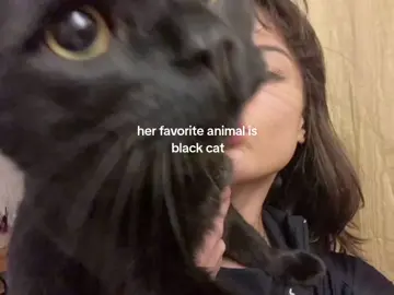 i love them all but they are special 🤍🐈‍⬛🌟 #blackcat #cats #fyp #foryou #global #kesfet #cherrywblee 