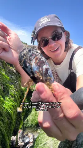 My Central Coast weekend 🌊  🏡 I stayed at Tiny Tranquility (King Tide, specifically) in Waldport, Oregon.  🦪 Foraged for seaweed + mussels at SealRock State Recreation Area 🦀 Crabbing on the Newport Bayfront 🐟 Lunch at Local Ocean Seafoods #oregon #oregoncoast #crab #crabbing #seaweed #seaweedforaging #mussels #musselforaging 