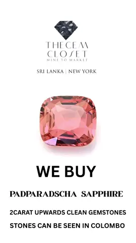 Looking for padparadscha sapphires 2 carat + #padparadscha #sapphire #highjewelry #precious #gemstones #gemstonejewelry #newyork #jeweler #goldsmith 
