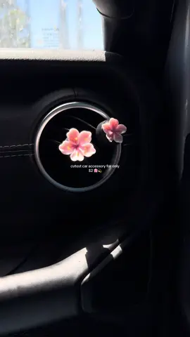 these are so cute for summer 🥹🌸💫 #fypシ #fyp #parati #airfreshener #cardecor #caraccessories #jeepgirl #jeep #carmusthaves #decoratemycar #girlythings #girly 