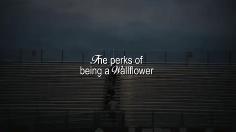 #theperksofbeingawallflower: I know i'm quiet and i know i should speak more.  (this was supposed to be posted on my birthday, but I could only post it today) #edit #alkaocean #charliekelmeckis  #moviequotes #fyp 
