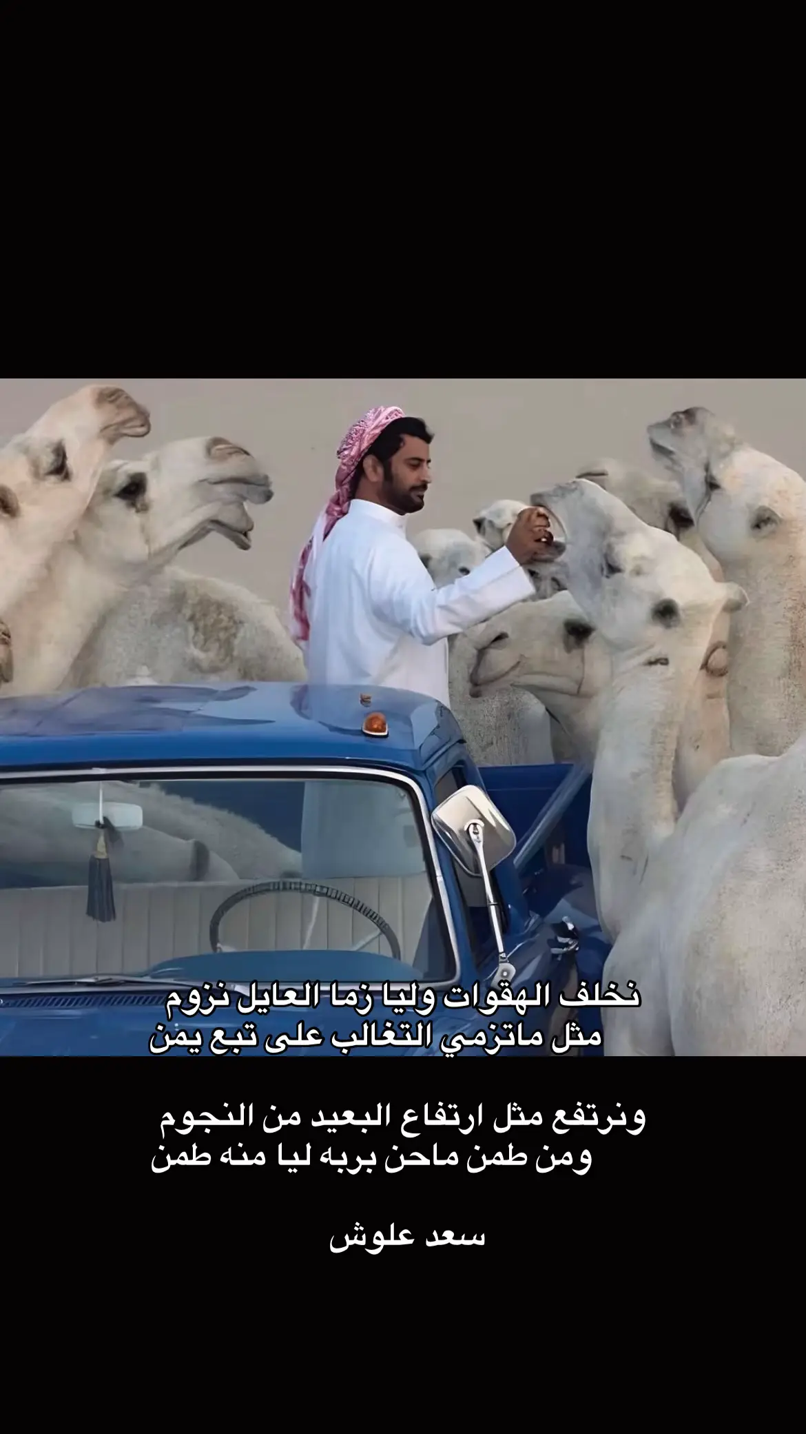 #سعد_علوش 