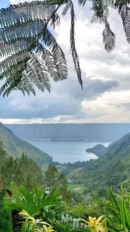 Lagu Holong Panimpuli - Henry Manullang . . . . #holongpanimpuli #henrymanullang #lagubatak #song #lagu #music #fyp #songlyrics #lyrics_songs #lyricsvideo #songs 