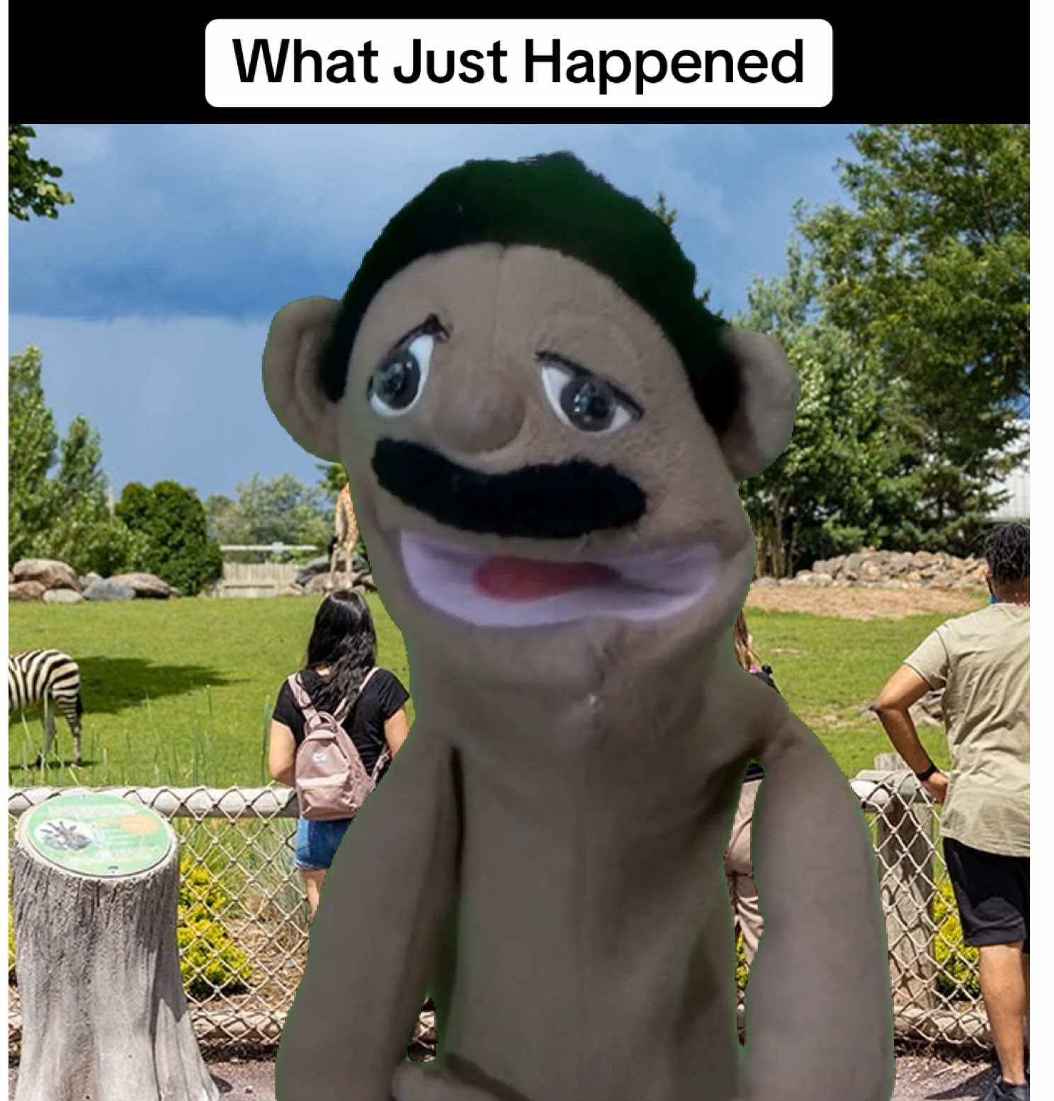 Chameleon Suprise Leaves Chef PP Speechless #chefpp #sml #puppet #funny #fyp #surprise #chameleon #animals #zookeeper #zoo #memes #comedy #meme #pantherchameleon 