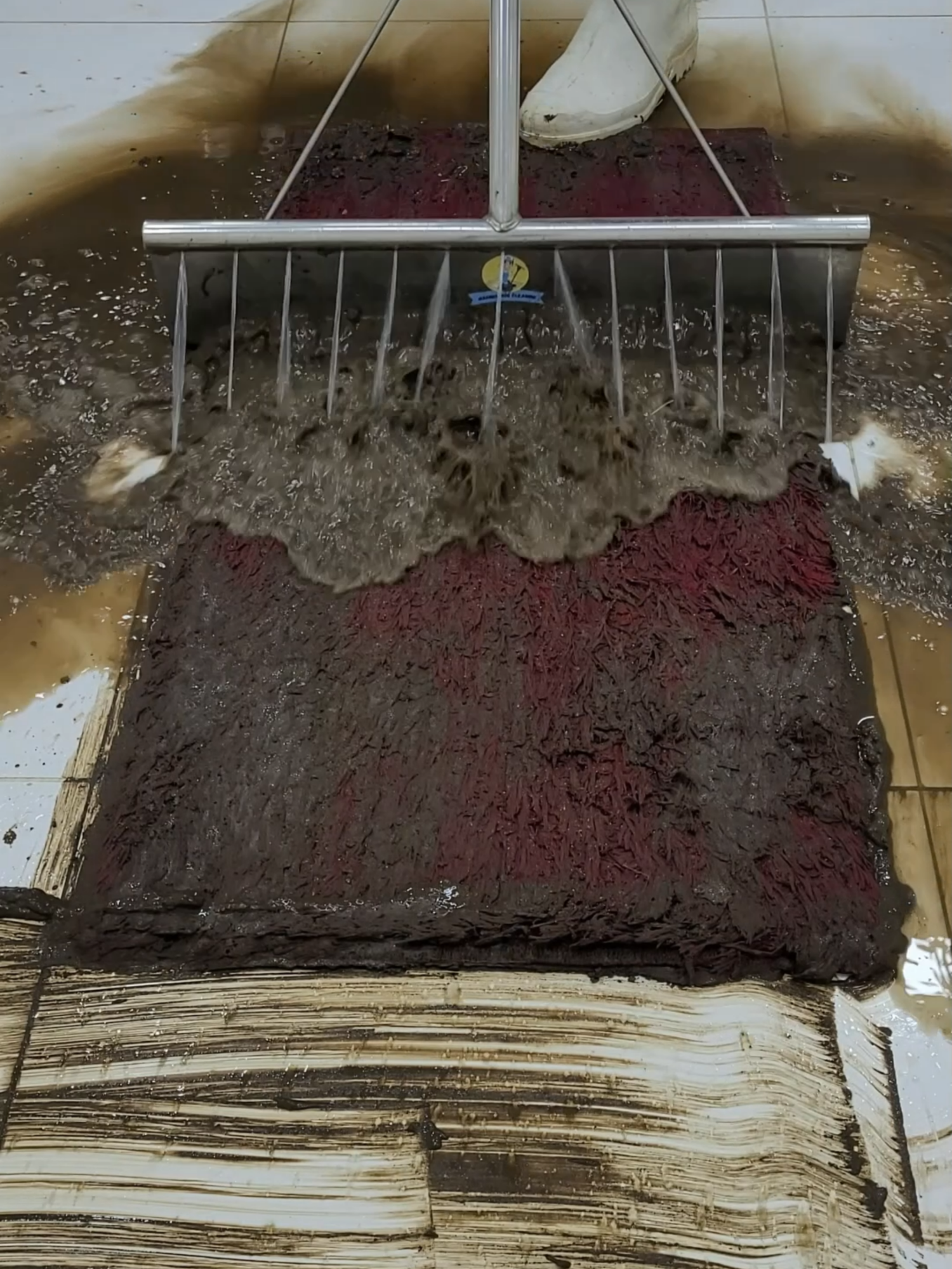 Cleaning satisfying Dirty furry carpet of Swamp Mud — Watch the Rescue! #RugCleaning #CleanTok #cleaning #asmr #asmrsound #SatisfyingClean #ASMRCleaning #TikTokCleaning #ASMR