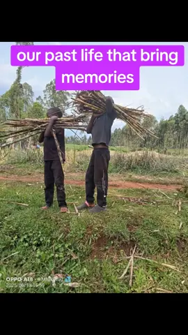 #oldschool #tbtvideo #fypシ゚ #fypシ゚viral🖤tiktok 