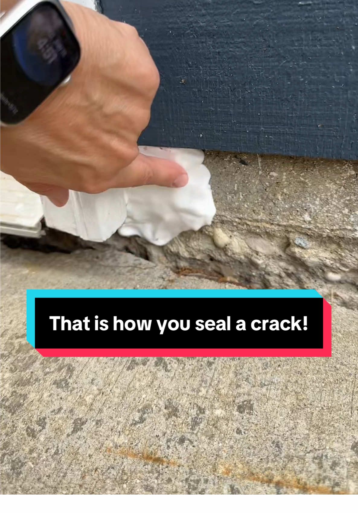 Waterproof Sealant Mastic #mice #cracksealing #gapfiller #hometips #pestcontrol #pests #tiktokshopsummerturnup #tiktokshopcreatorpicks #dealsforyoudays 