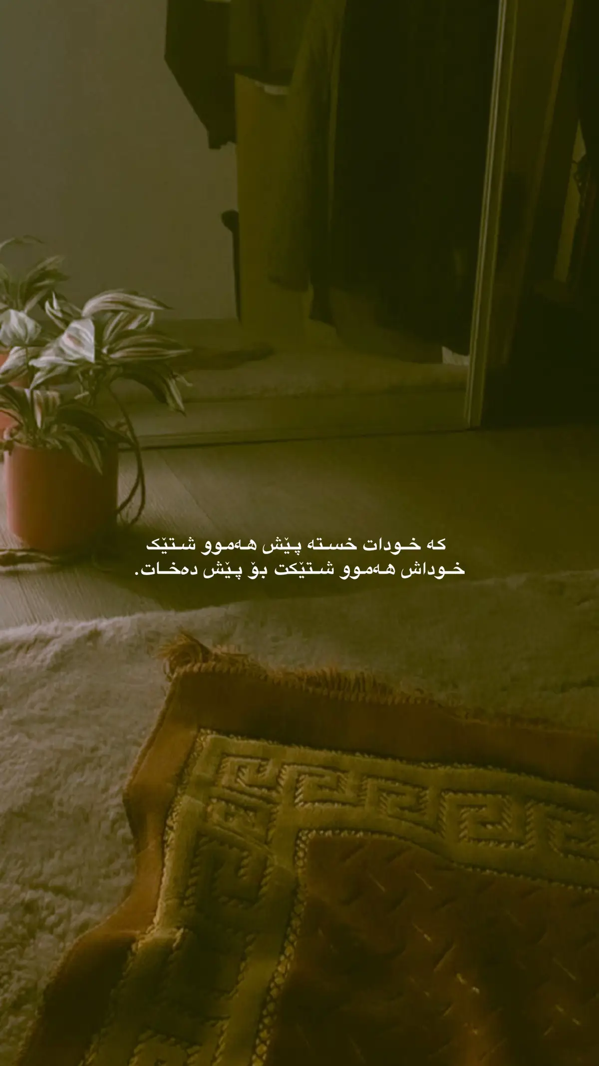 #foryoupage #explorepage #fypppppppp #explore #kurdishquotes #erbil #kurdistan #actives? #viraltiktok 