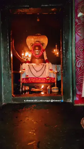 #thennadudaiya_shivane_potri #om #omnamahshivaya #shivanirukabayamen #ellampugalumiraivanukke #blessed #thankyou #mahdev🕉️🙏❤️ #lordshivanblessing🕉🔱📿🌹 #harharmahadev🙏🙏mahakaal #goodday #positivevibes #goodvibesonly🥰 
