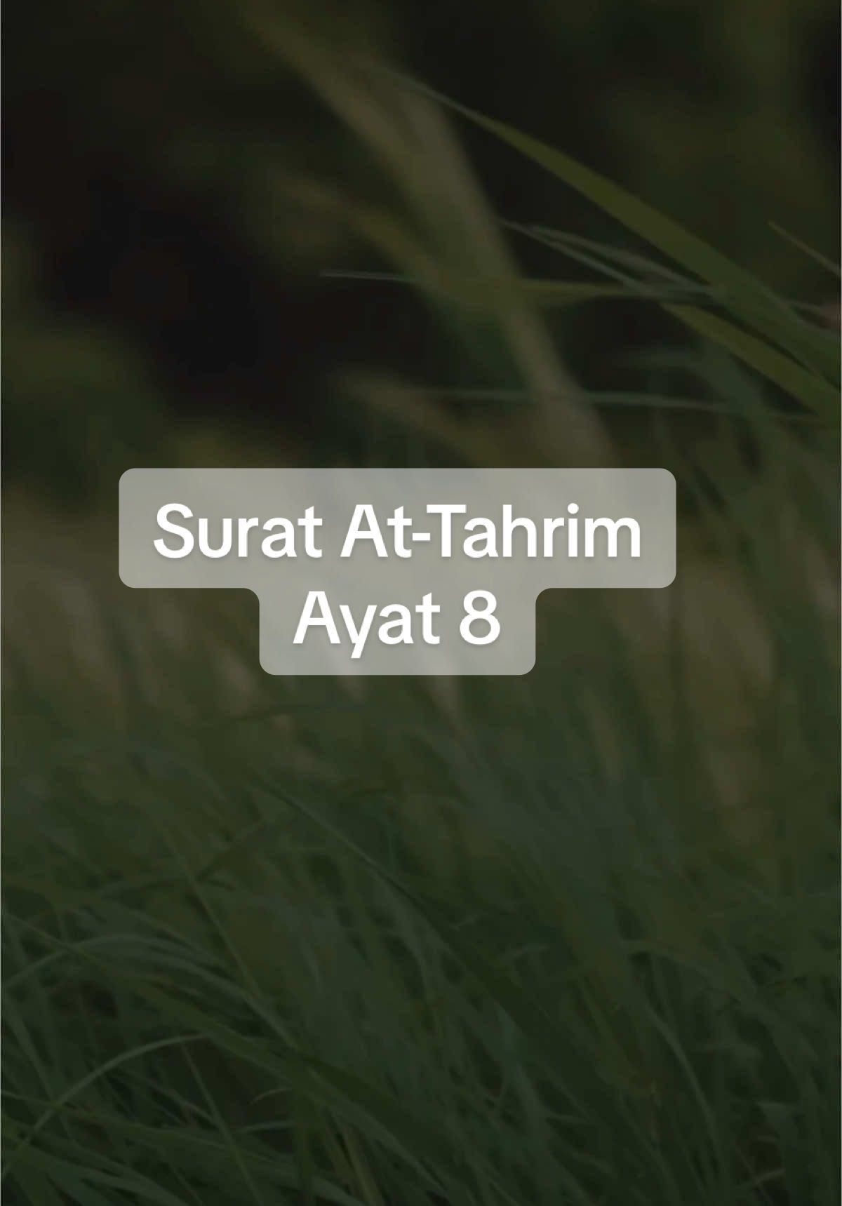 Jangan lupa dzikir Pagi 🖤 Wahai orang-orang yang beriman, bertobatlah kepada Allah dengan tobat yang semurni-murninya. #alqurankarim #kajiansunnah #murottal #salaf #hadist #murottalquran #murojaah 