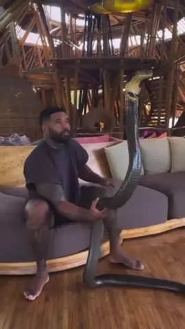 Okay, so here's a man interacting with a cobra! 🐍 The cobra is an apex predator and one of the most dangerous striking snakes. All I'm saying is, refrain from playing with these snakes or one day you'll regret it! 🫩 I’m done!✌🏾 #snakes #cobra #tiktok #apex #predator