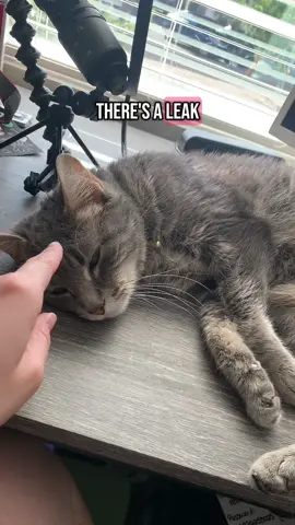 she drools when she’s happy