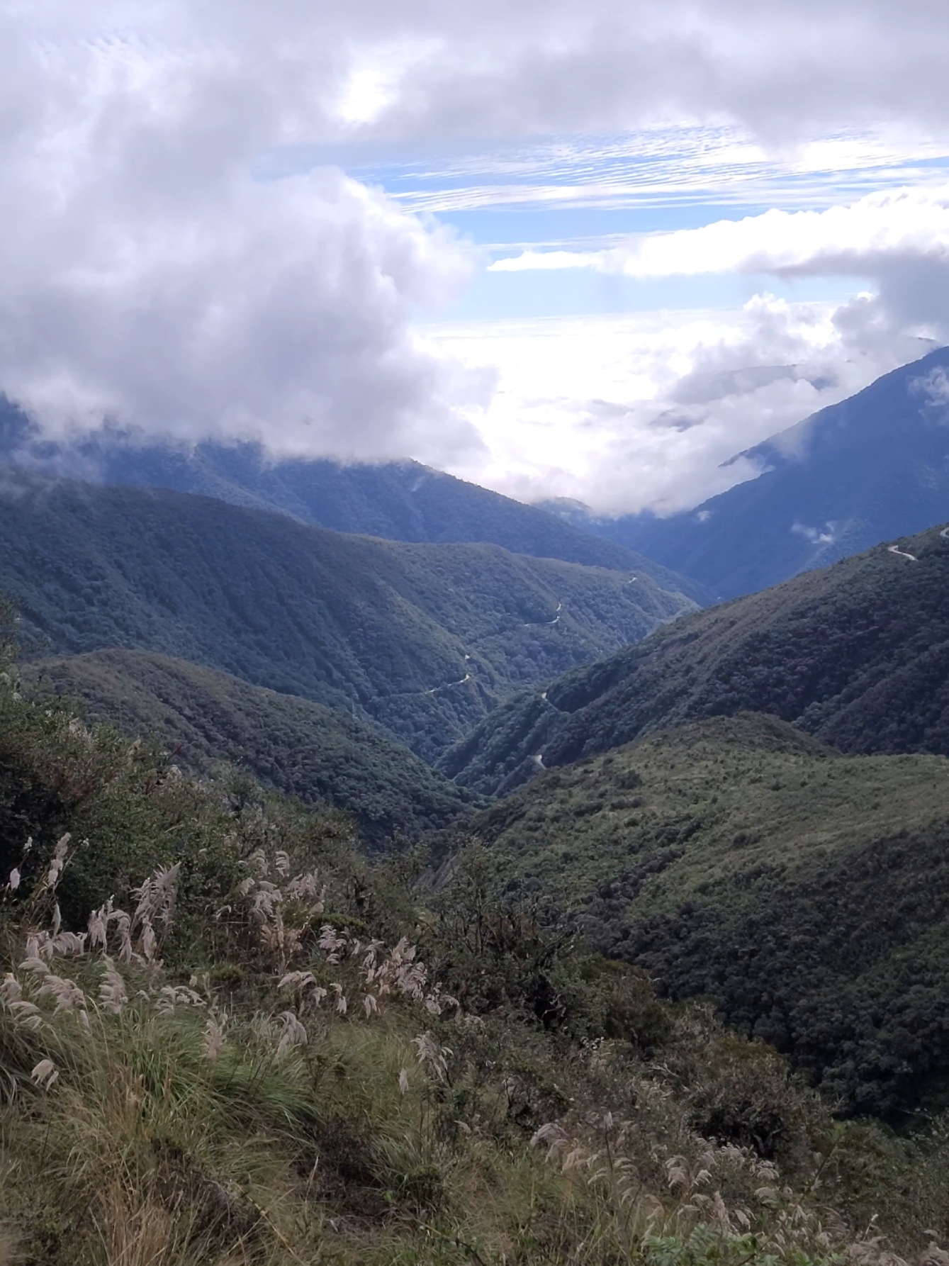 #nikon #madrededios #parquenacionaldelmanu #sernanp #descubreperu #live 