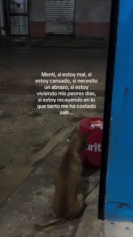 :( #noestoybien #parati #fypシ゚ #bajonesemocionales 