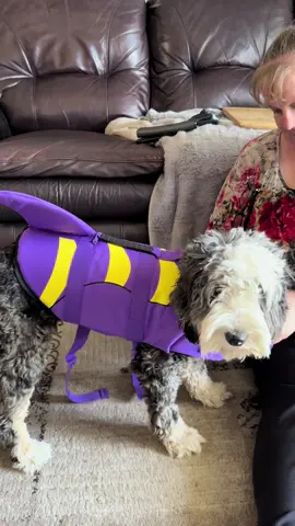Maisy got a very special surprise today for when we take her swimming this summer 🤠👩🏻‍🦰❤️🐶#cutepuppy #aussiedoodlepuppy #puppy #mansbestfriend #canada_life🇨🇦 #watersafety #boxopening @Don't Pet Creations 🇨🇦 @Motherfarmer Records @Peppercorn Gravy @D.J.Skeleton @Desoray @KTLA5NEWS 