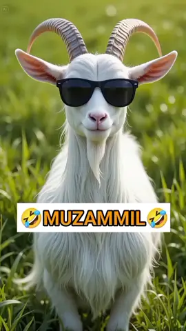 Goat calling name MUZAMMIL in funny style 🤣😂  #fyp #trend #goat #goats #bakra #creatorsearchinsights #trending #million #viral #10million #fyppp #fyp 