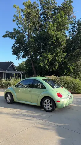 Summertime 💚 #volkswagenbeetle #vwbeetle #vwbug #vw #greenbeetle #fyp #foryoupage #newbeetle #viral #summertime 