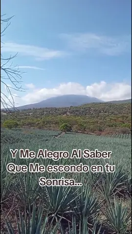 #entusonrissjoansebastian #agave#joansebastianoficial  #agaveazul#tequilajalisco🇲🇽#joansebastianmusic #tequilapueblomagico 