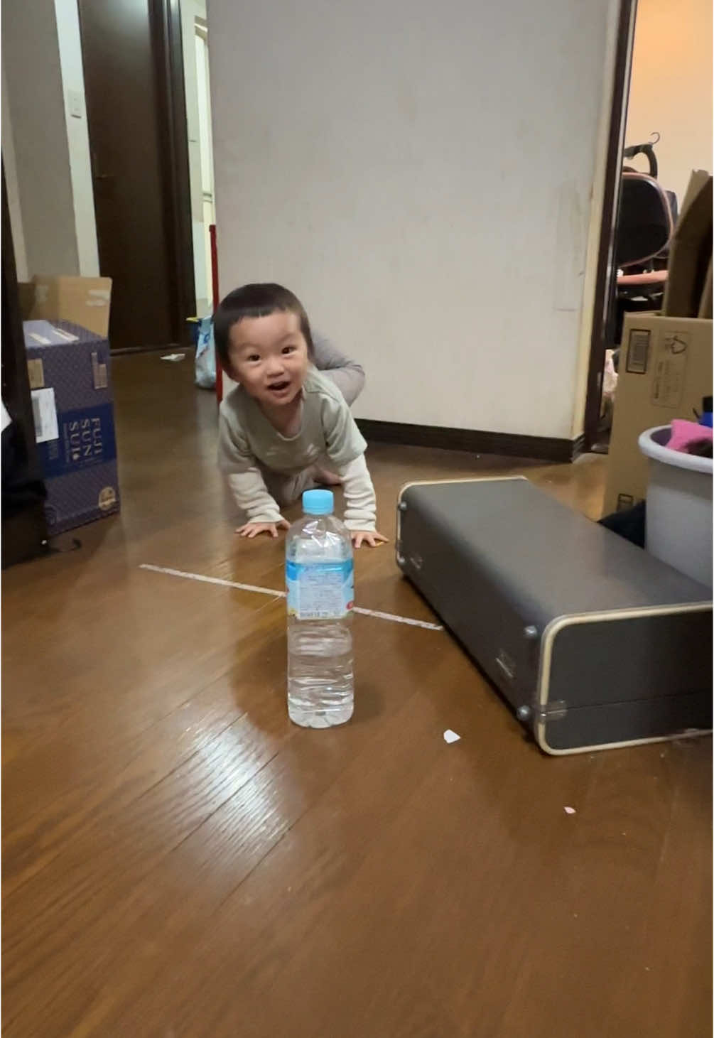 私の甥は将来スター