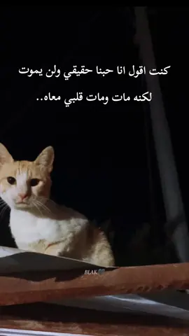 #ستوريات #ستوريات #🖤🥀 