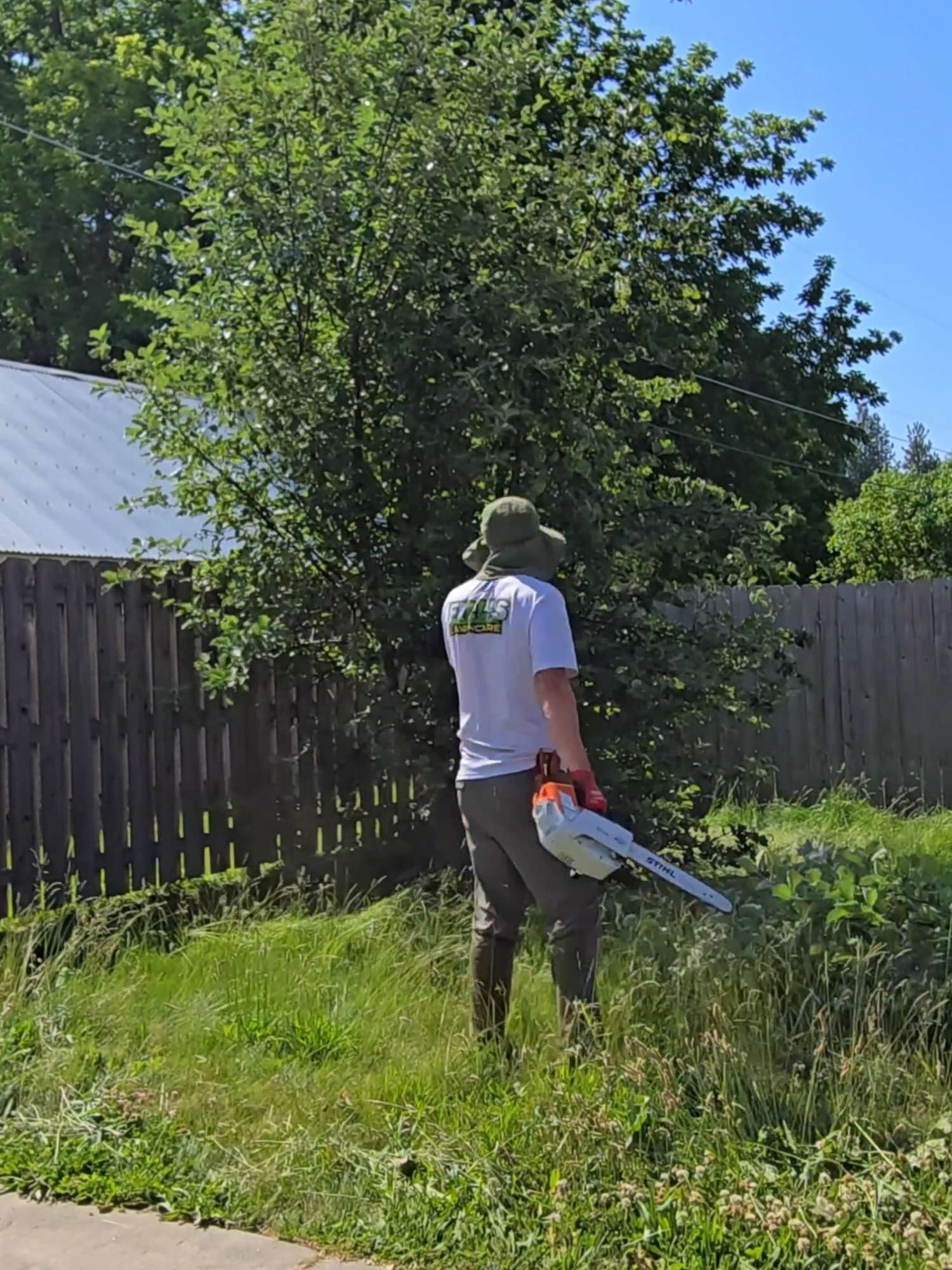Overgrown Mansion Cleanup Part 2/5🌿