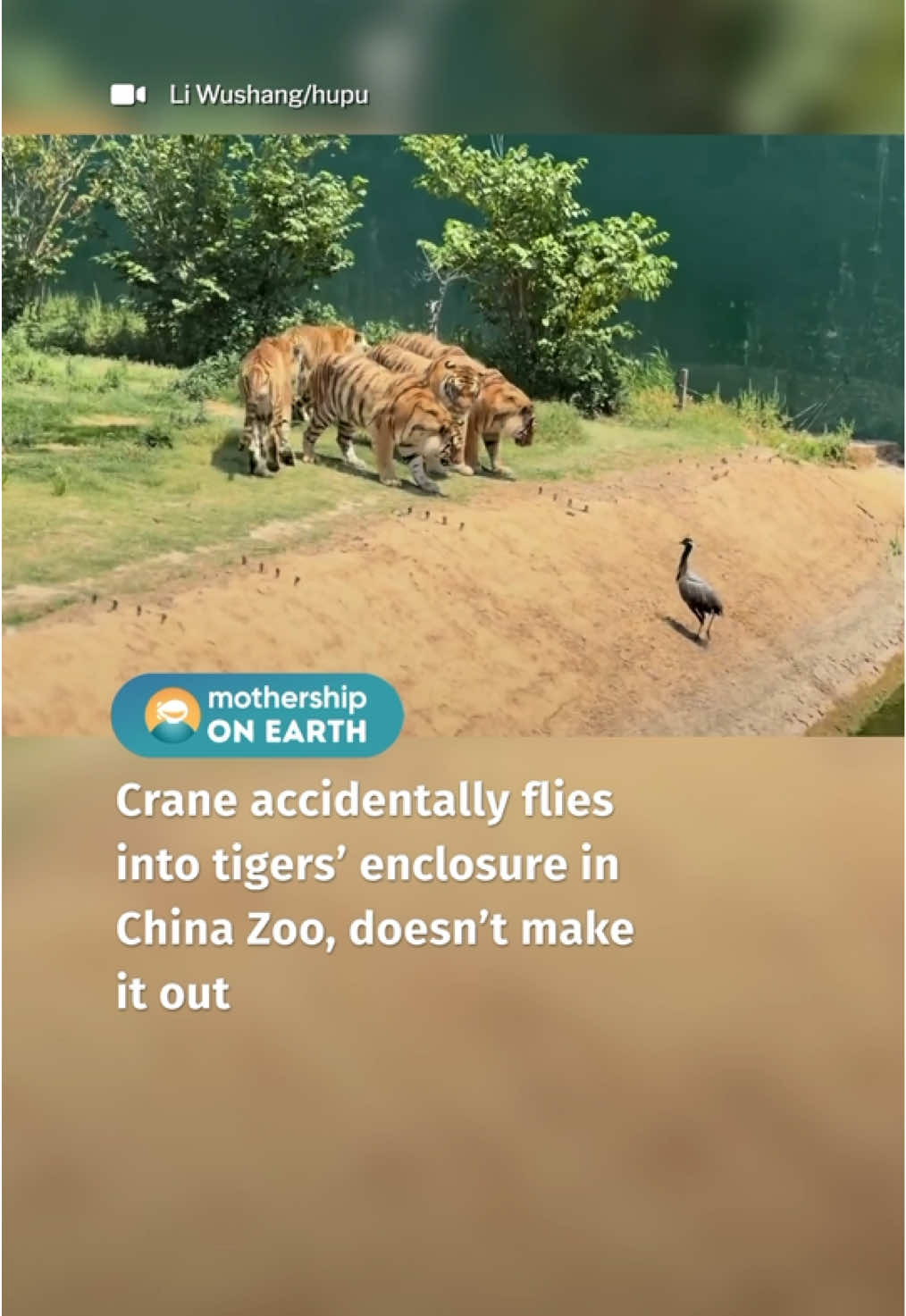 no Pixar ending in real life :/ 