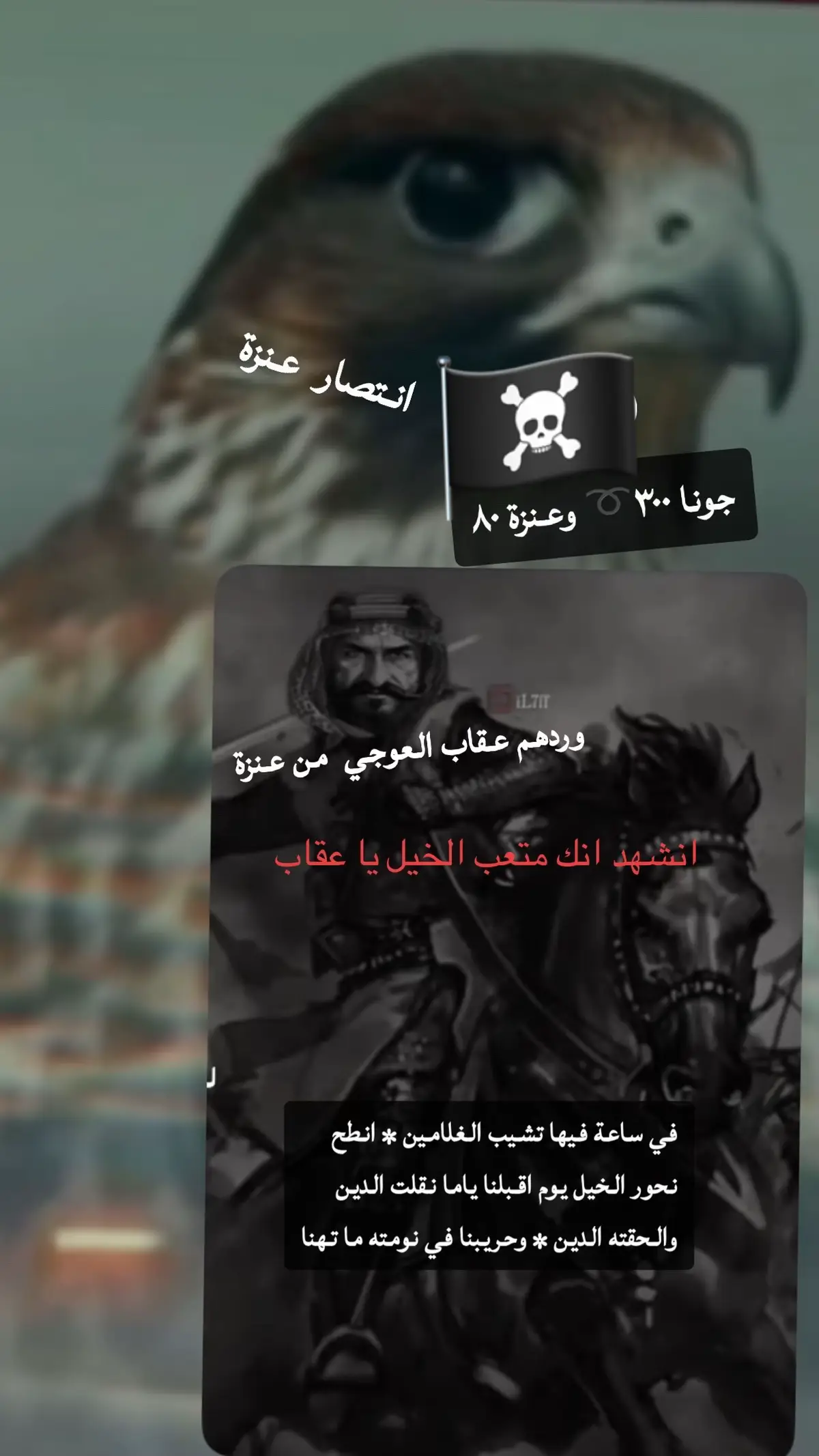 #اكسبلور 