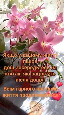 #цінуйжиття#