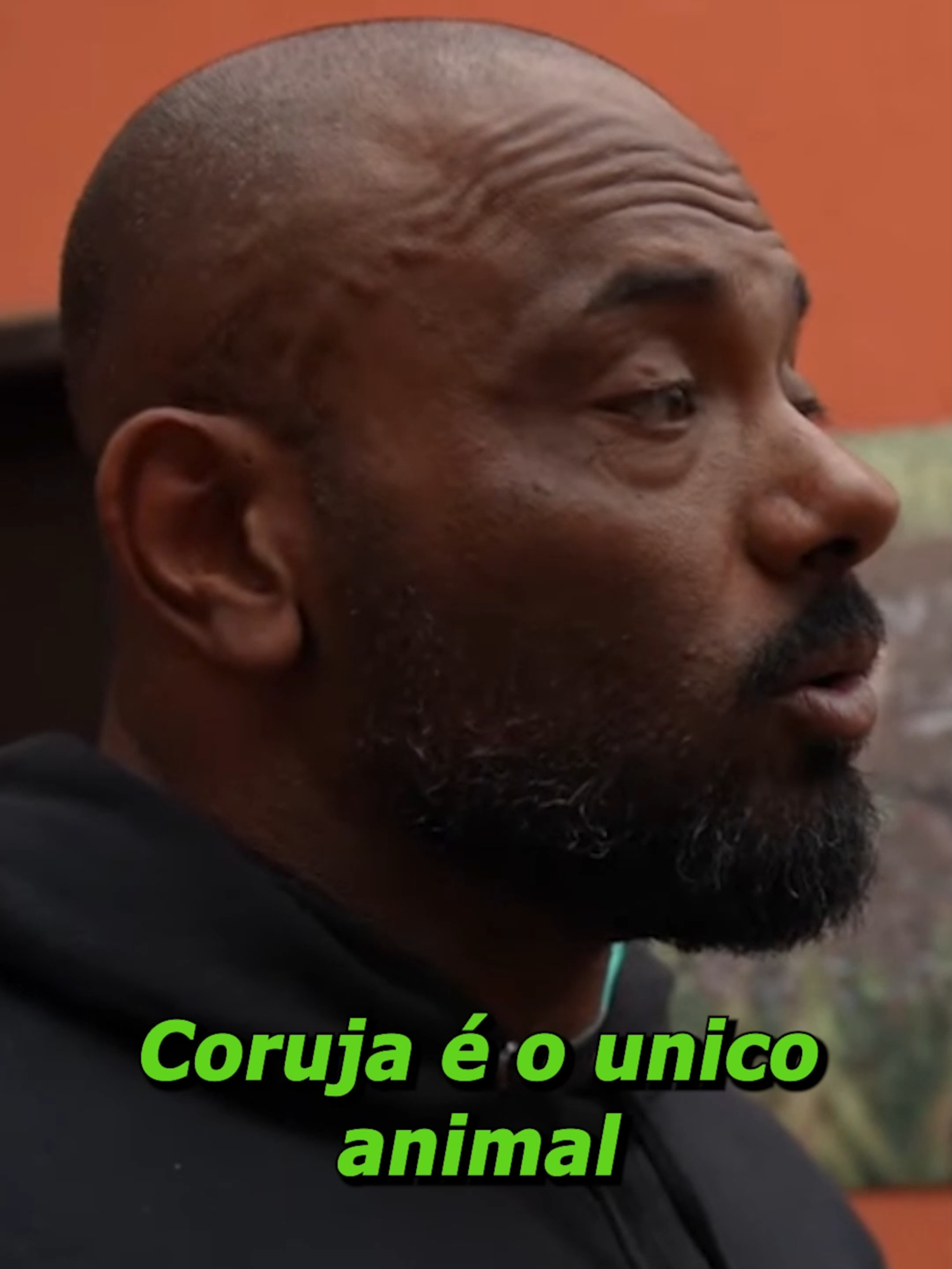 Como a coruja voa?! #coruja #richardrasmussem #renatocariani